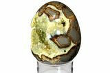 Calcite Crystal Filled Septarian Geode Egg - Utah #114329-1